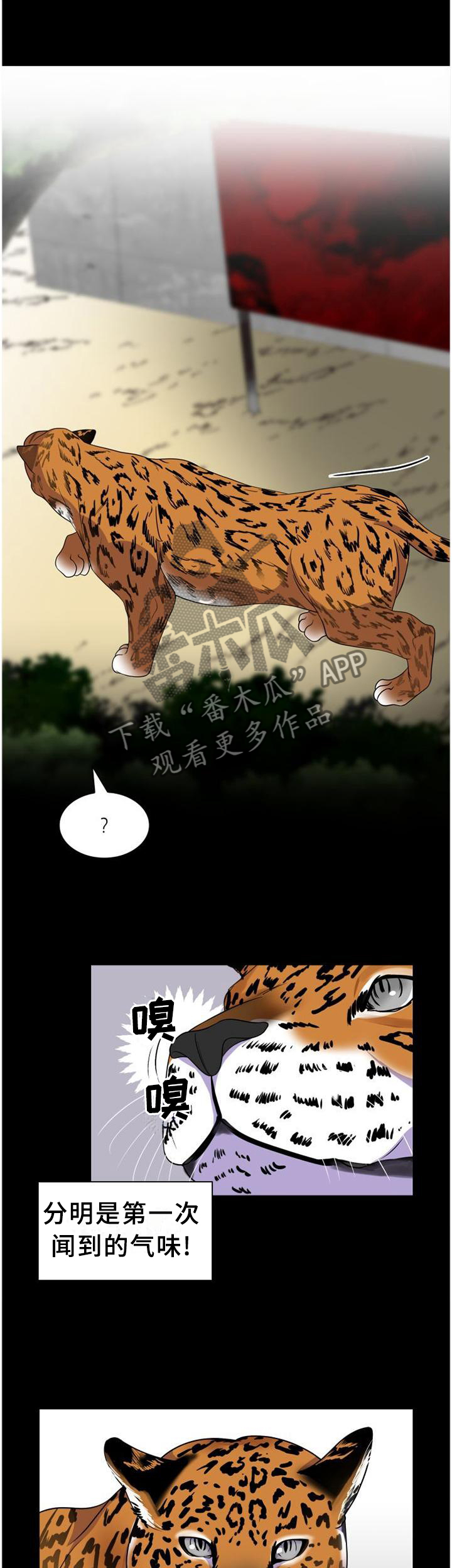 第121话0