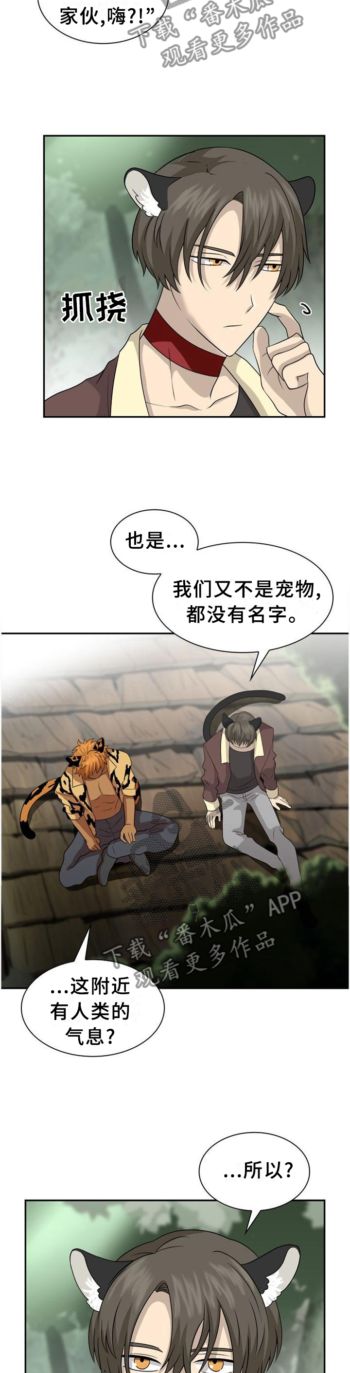 第119话1