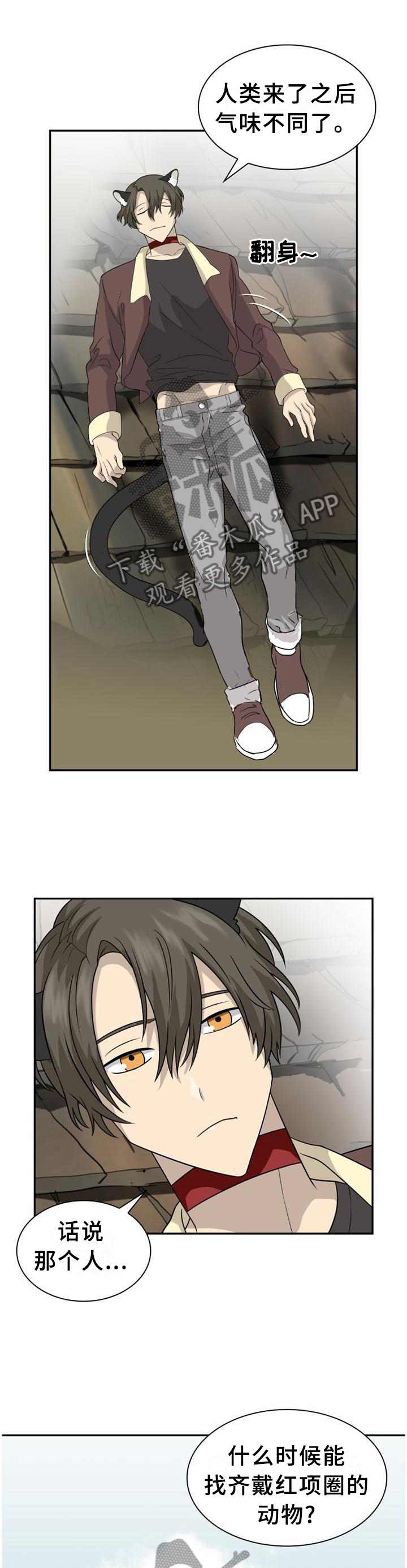 第118话2