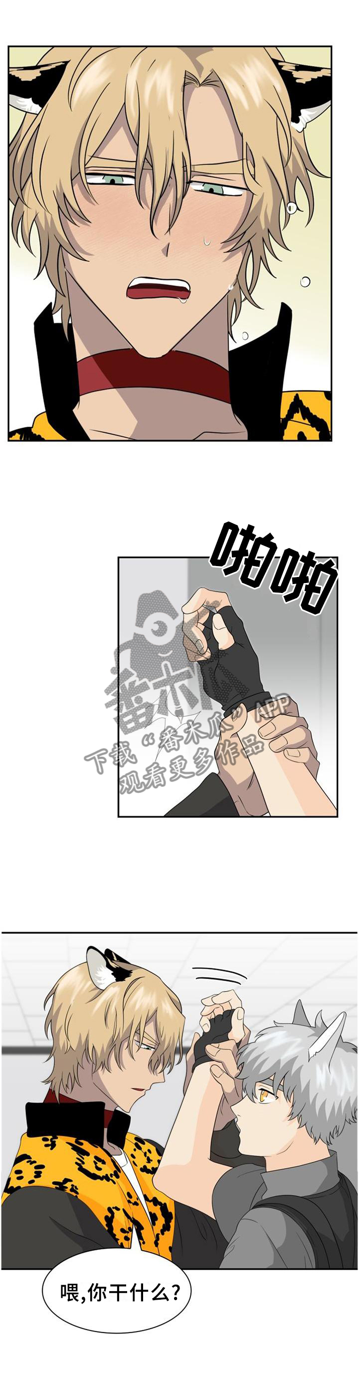 第117话2