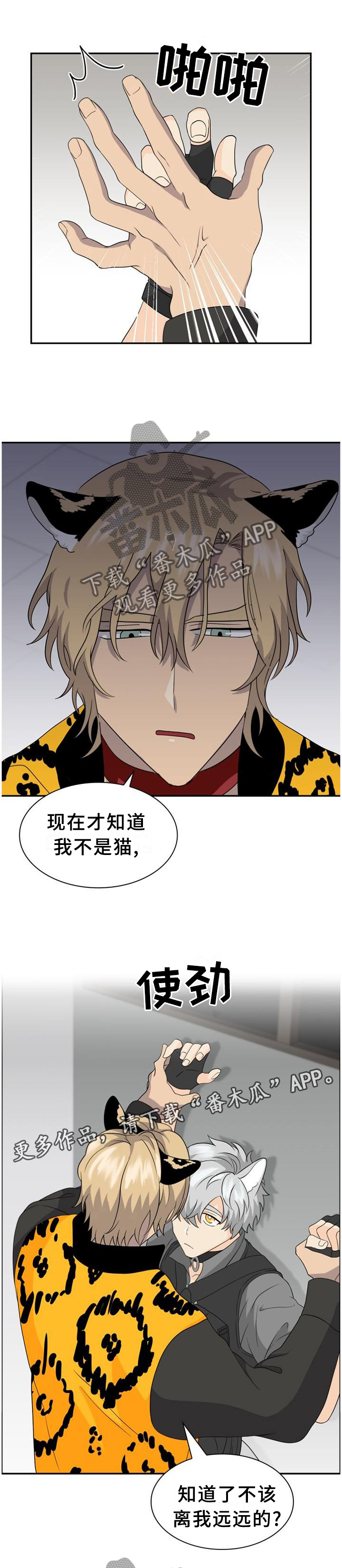 第117话6