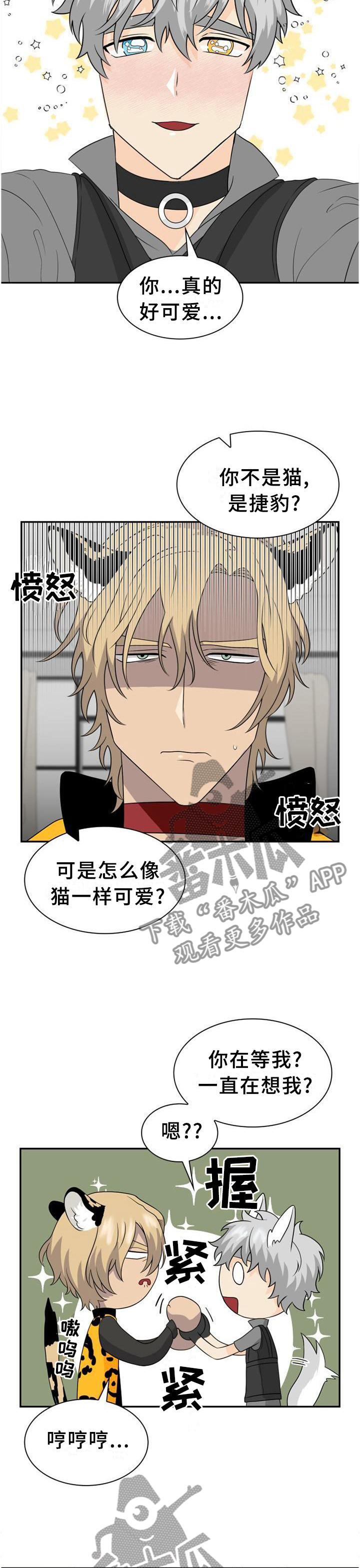 第117话4