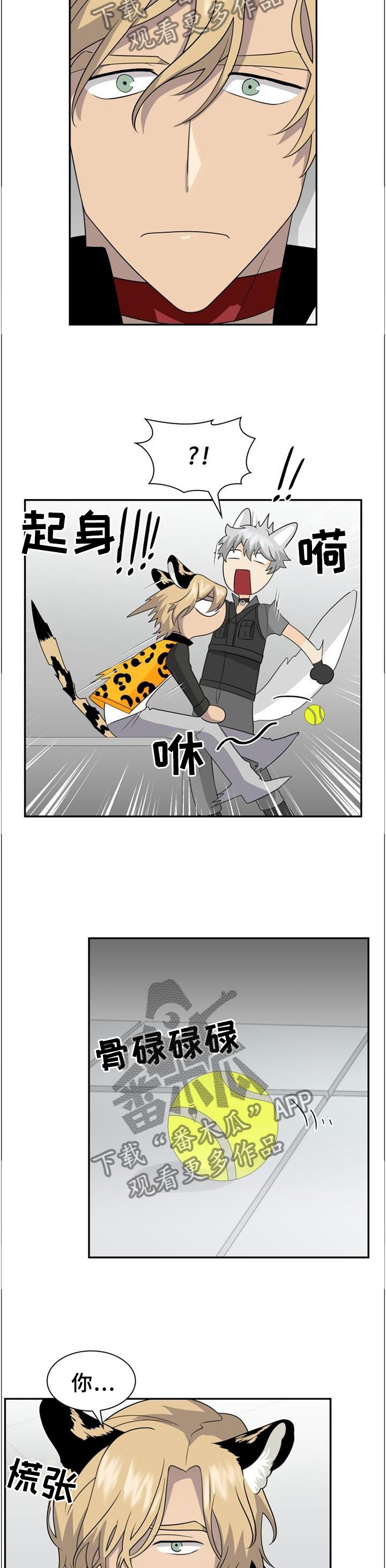 第116话5