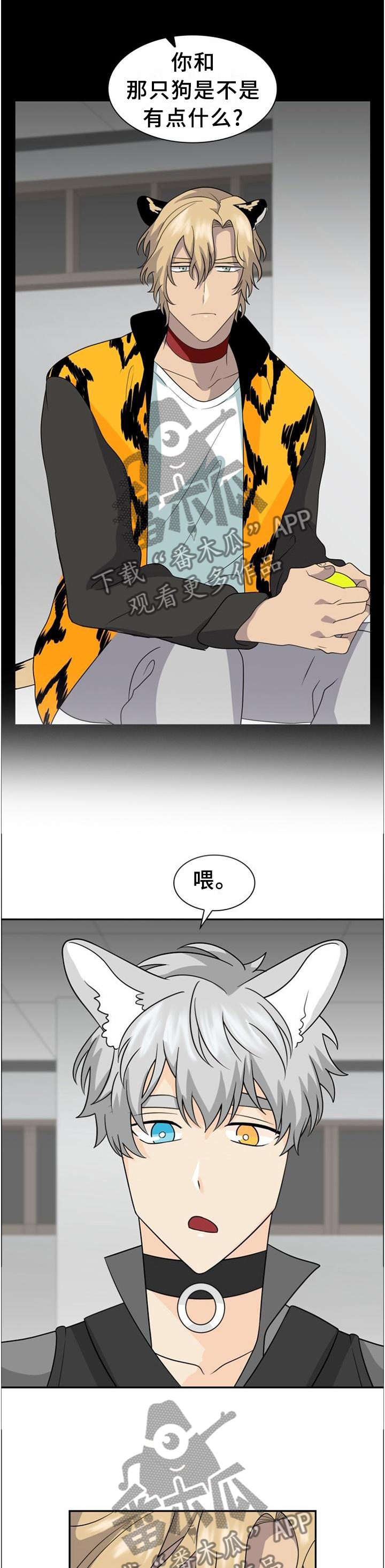 第116话4