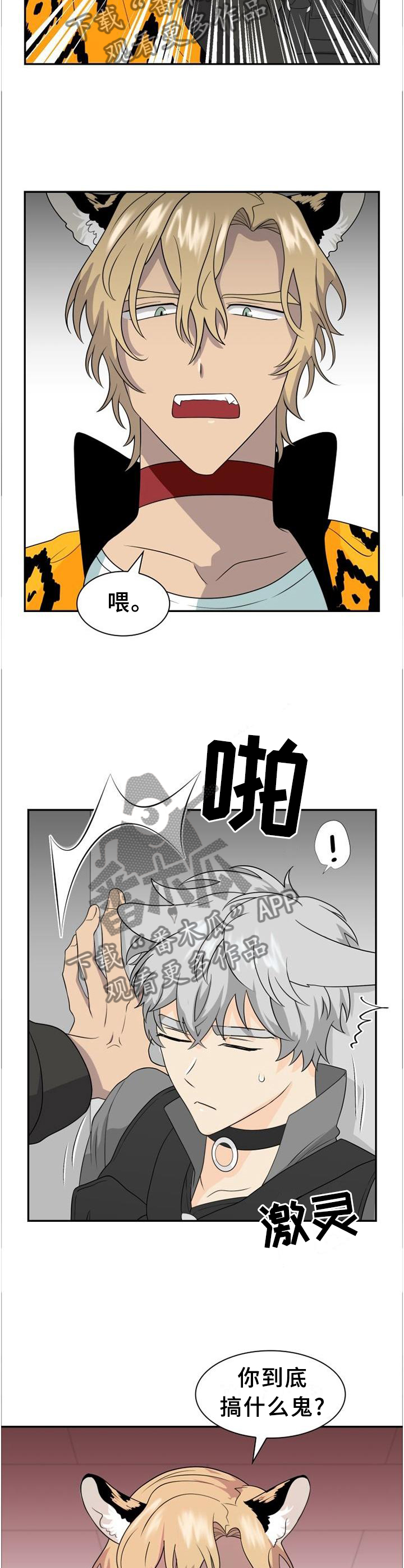 第116话8
