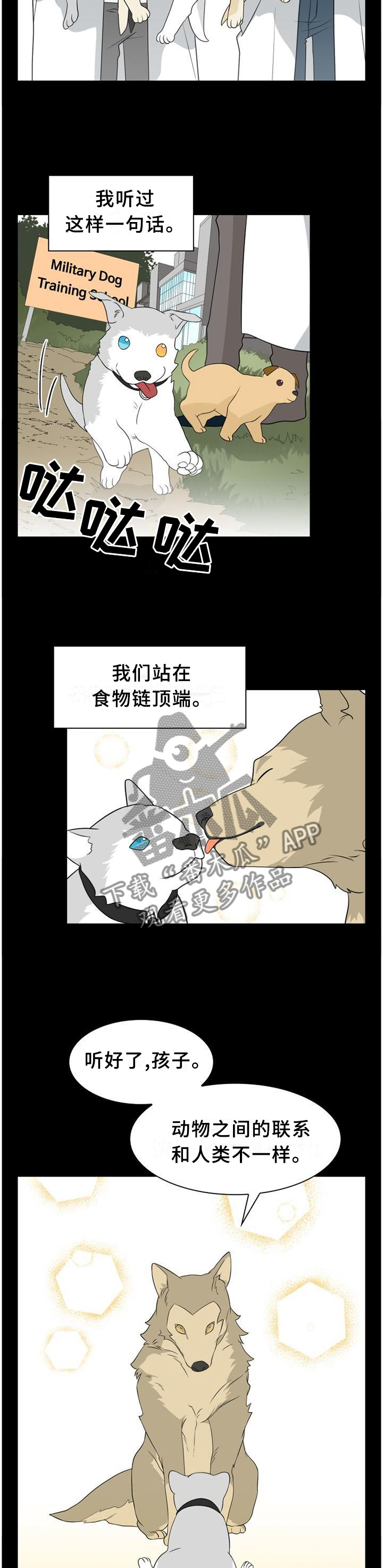 第112话8