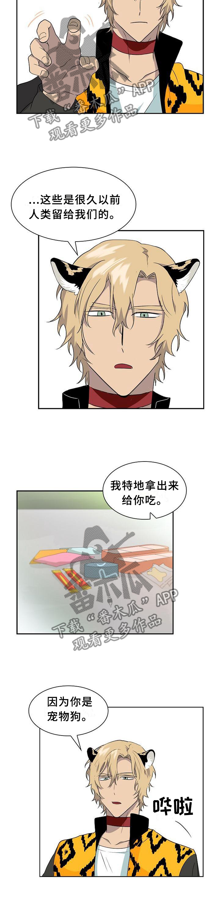 第110话9