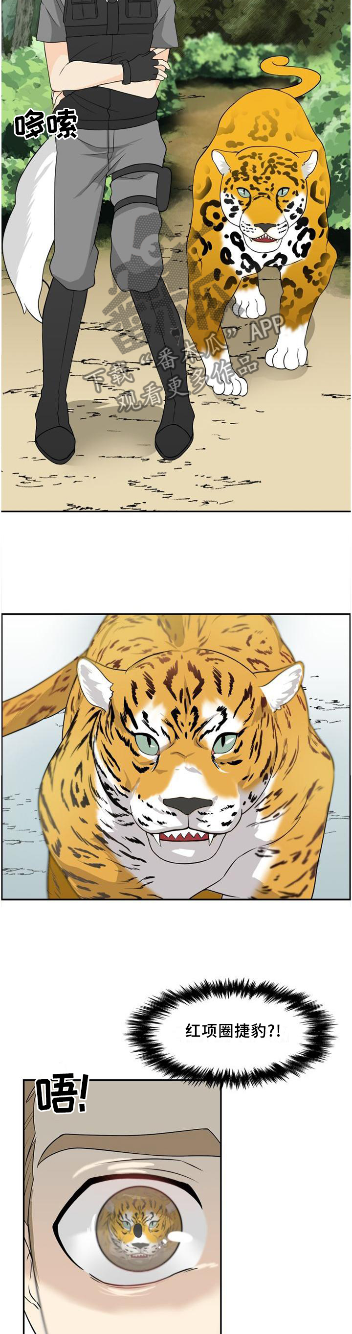 第105话4