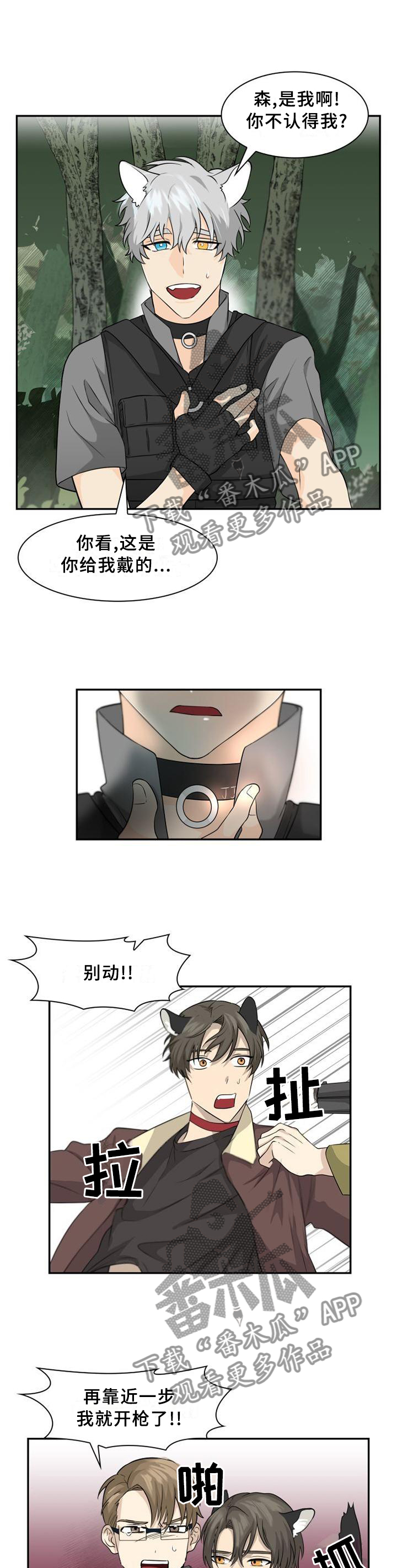 第104话8