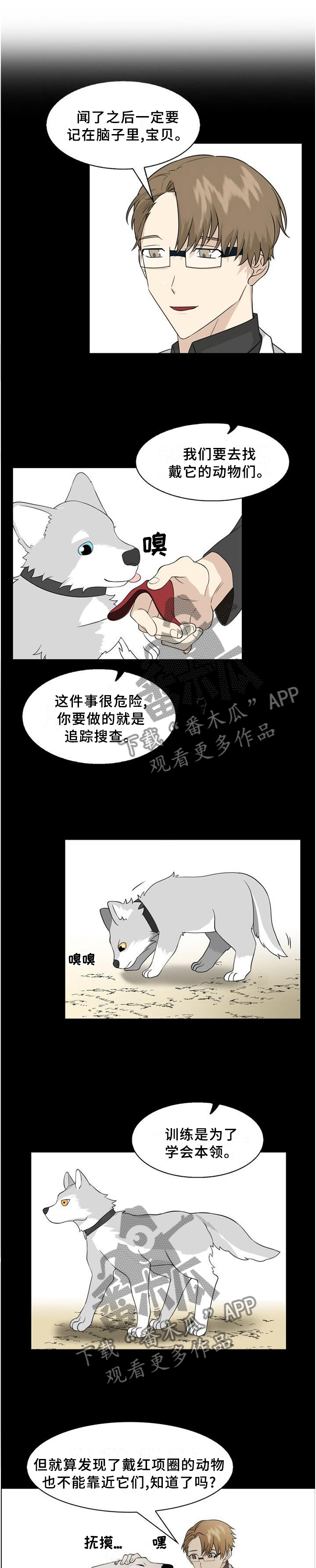 第99话0