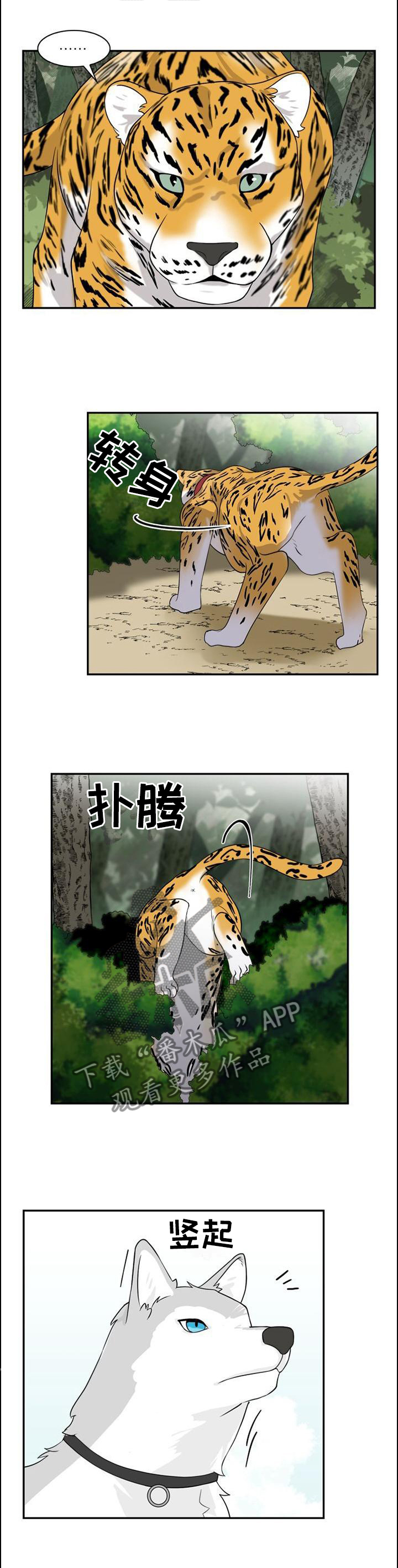 第98话0