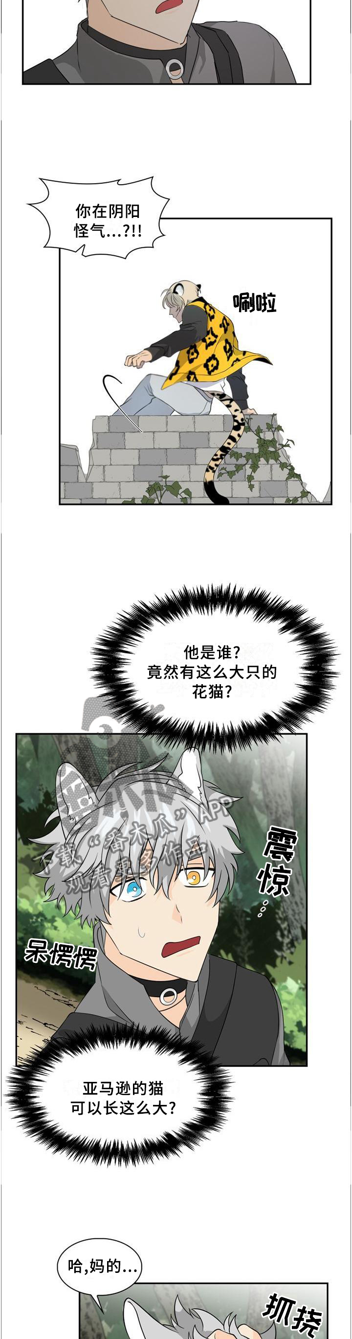 第98话7