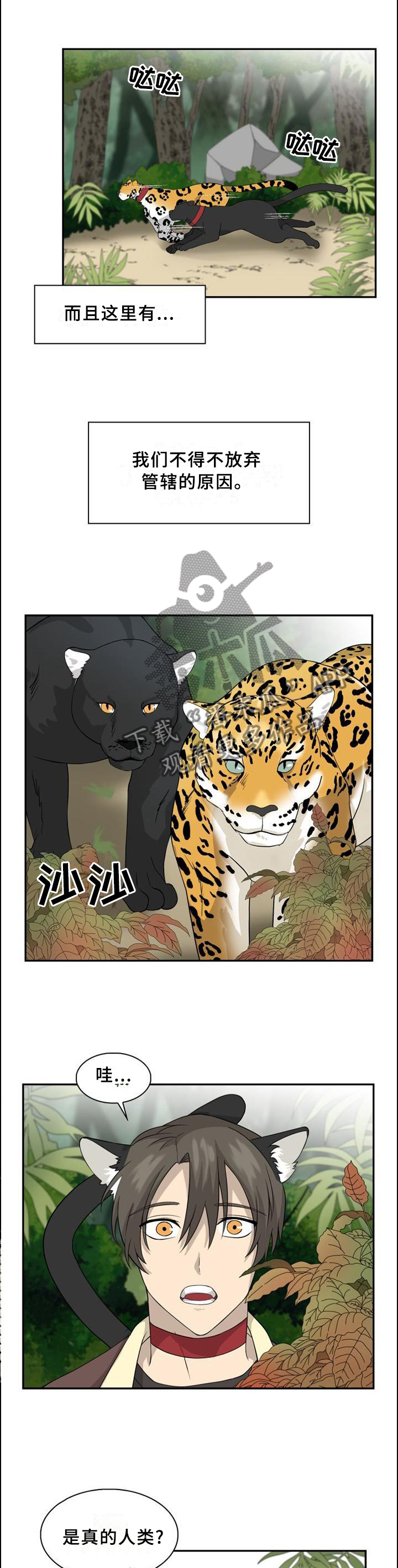 第97话5