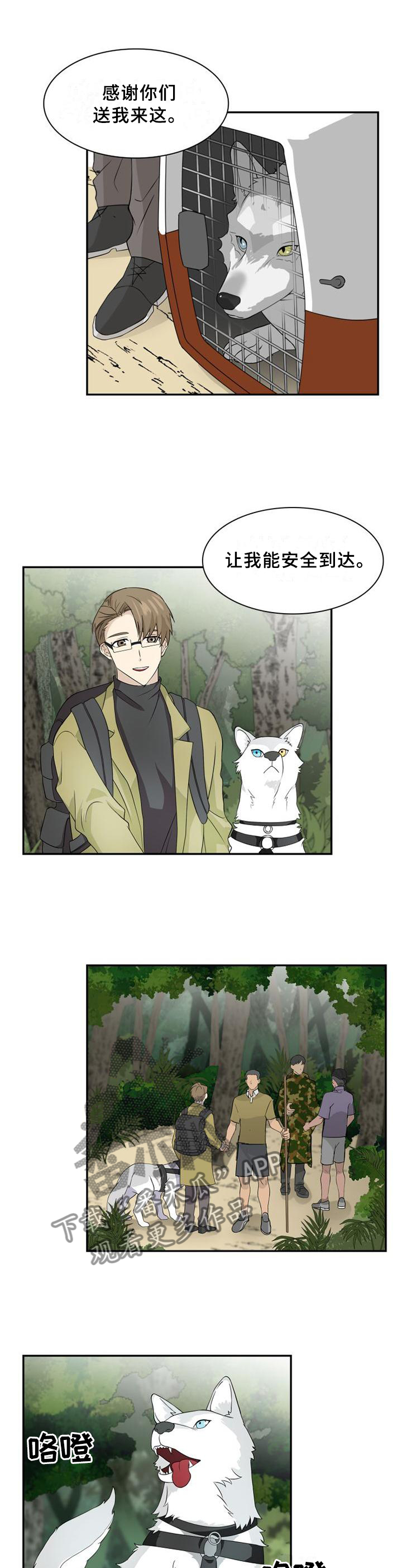 第96话8