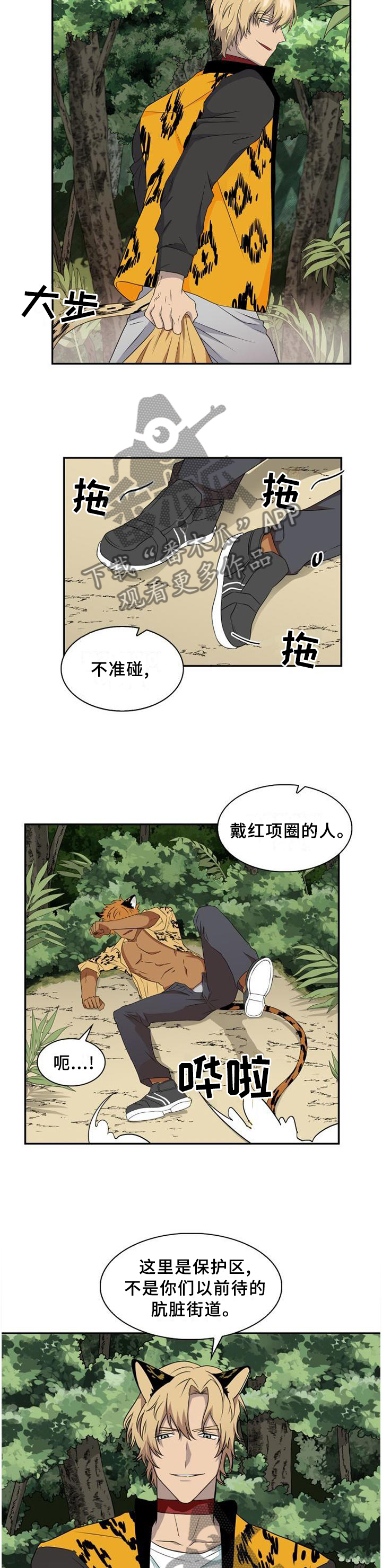 第95话4
