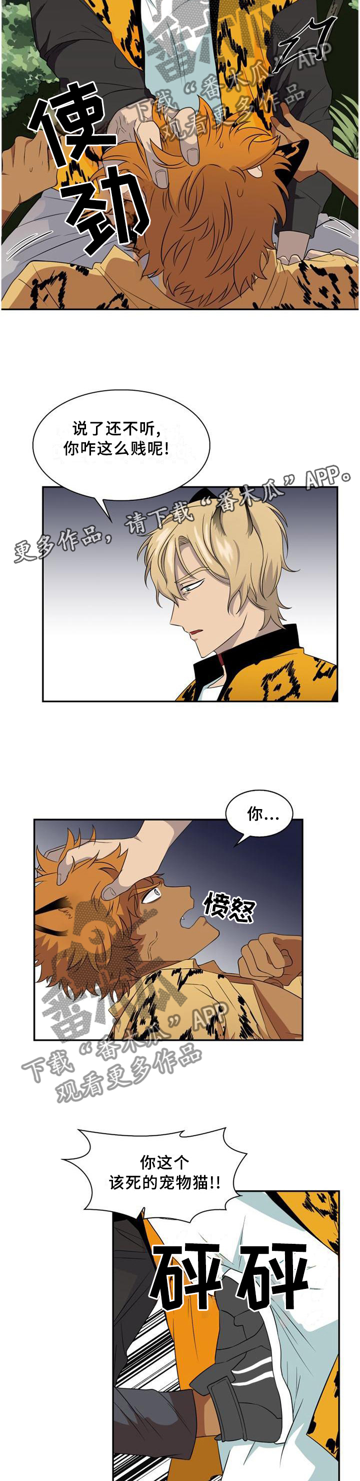 第95话5
