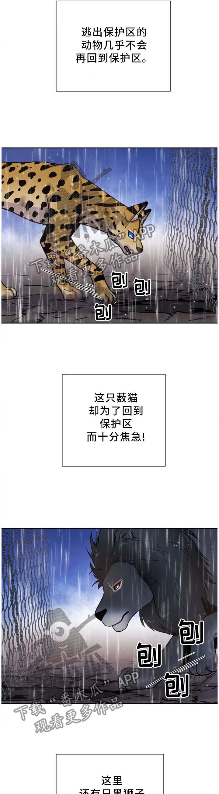 第91话3