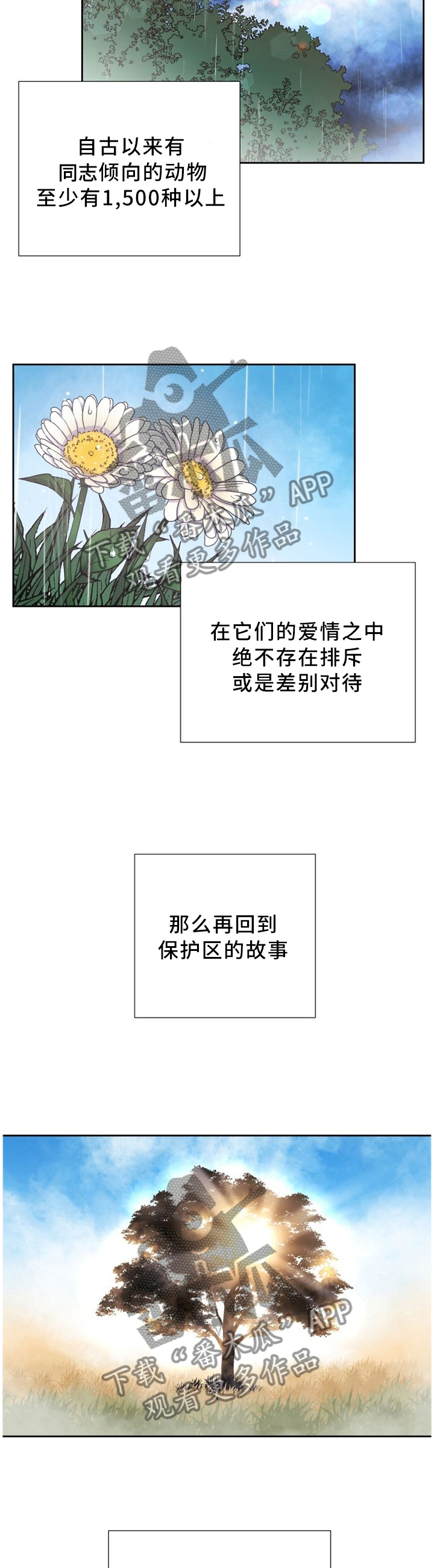 第91话6