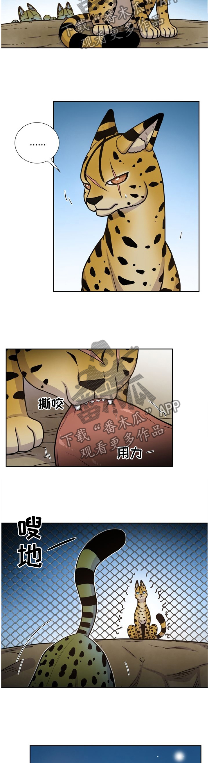 第88话4