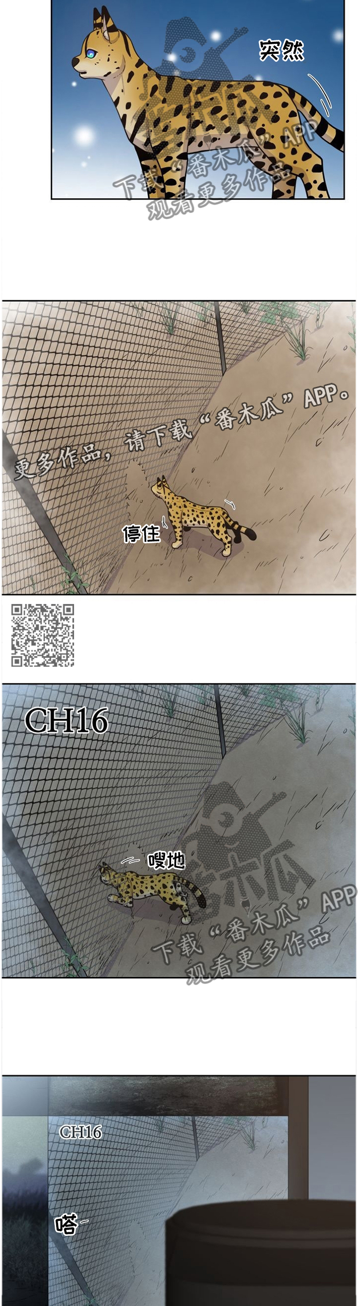 第88话5