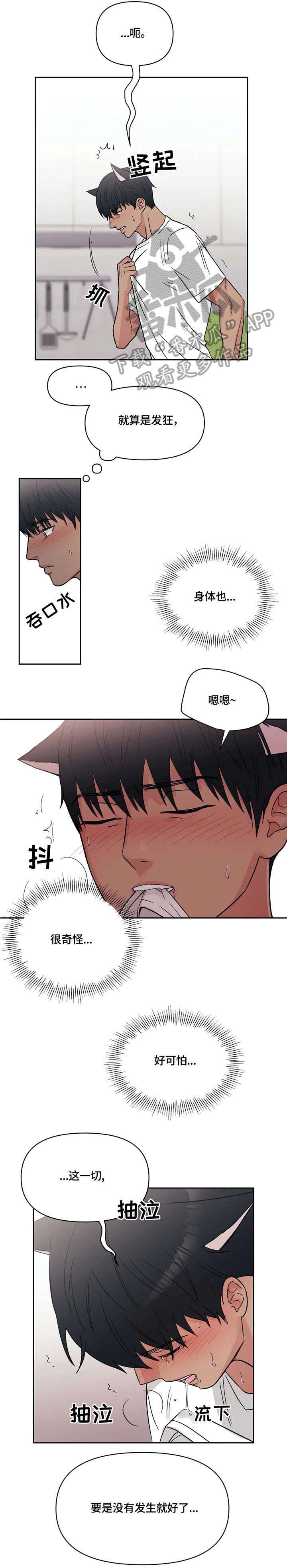 第11话5