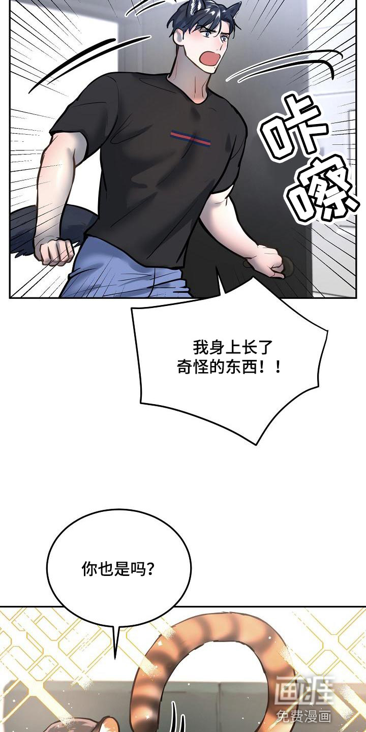 第73话13