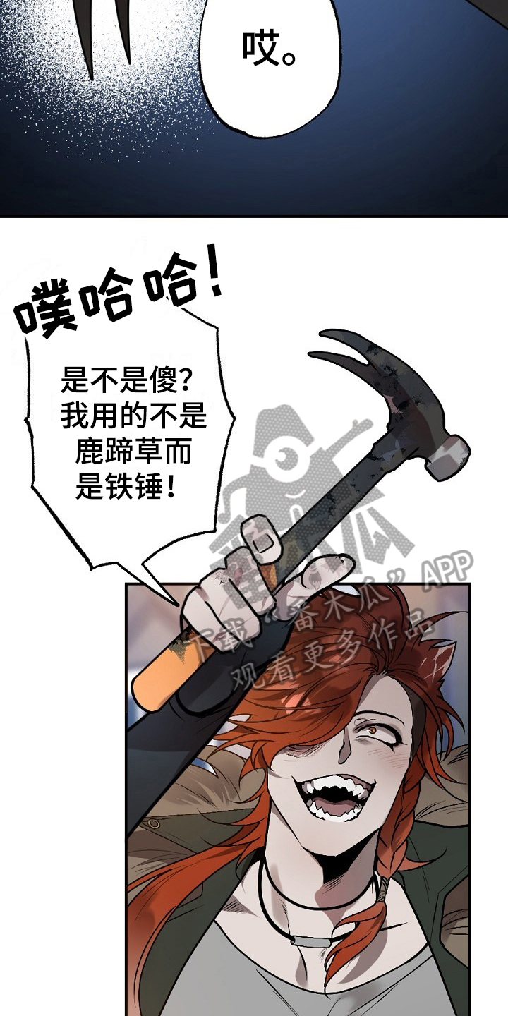 第11话3
