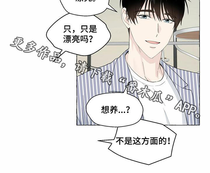 第71话17