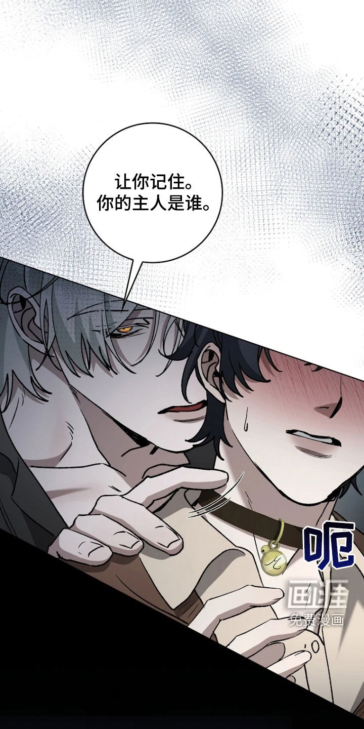 第29话24