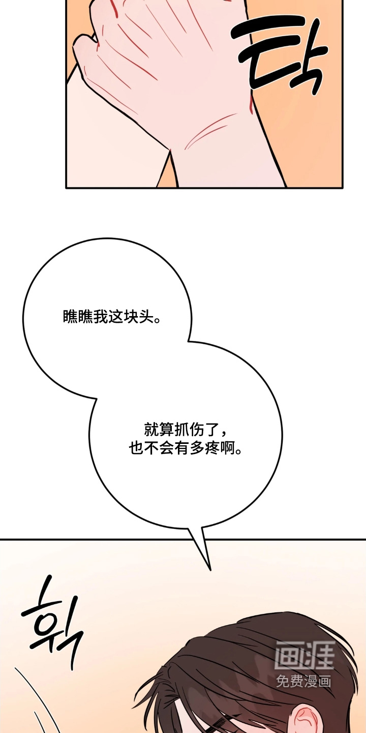 第167话14