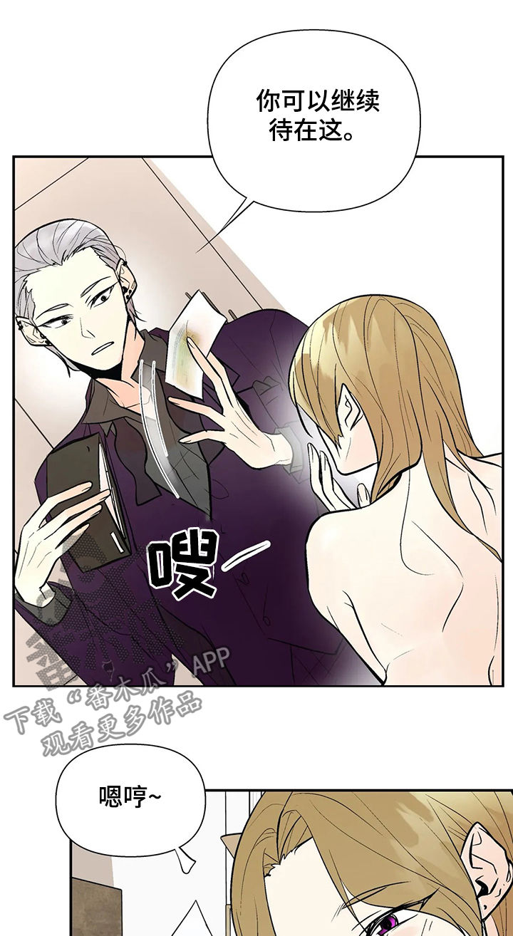 第53话12