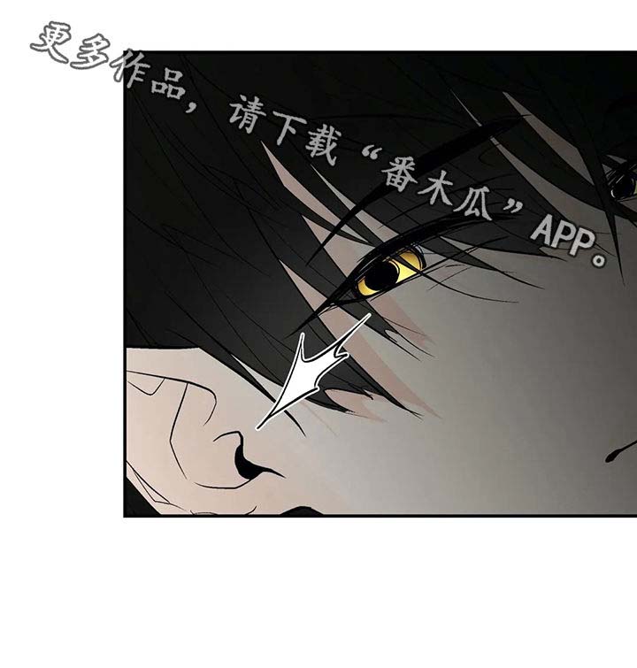 第41话15