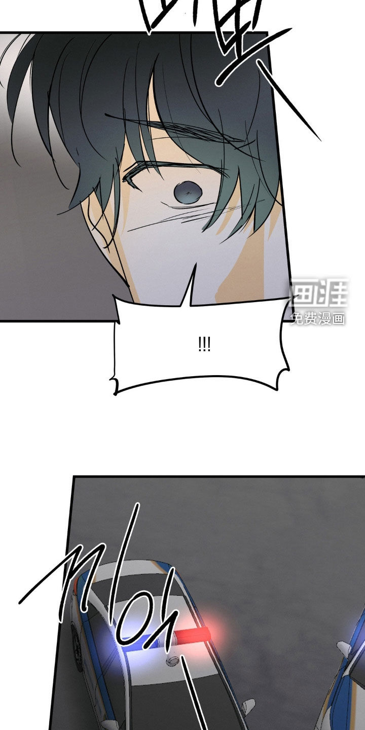 第116话15