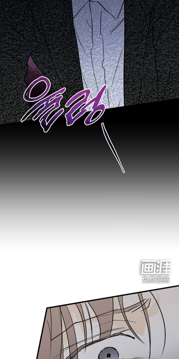 第113话13