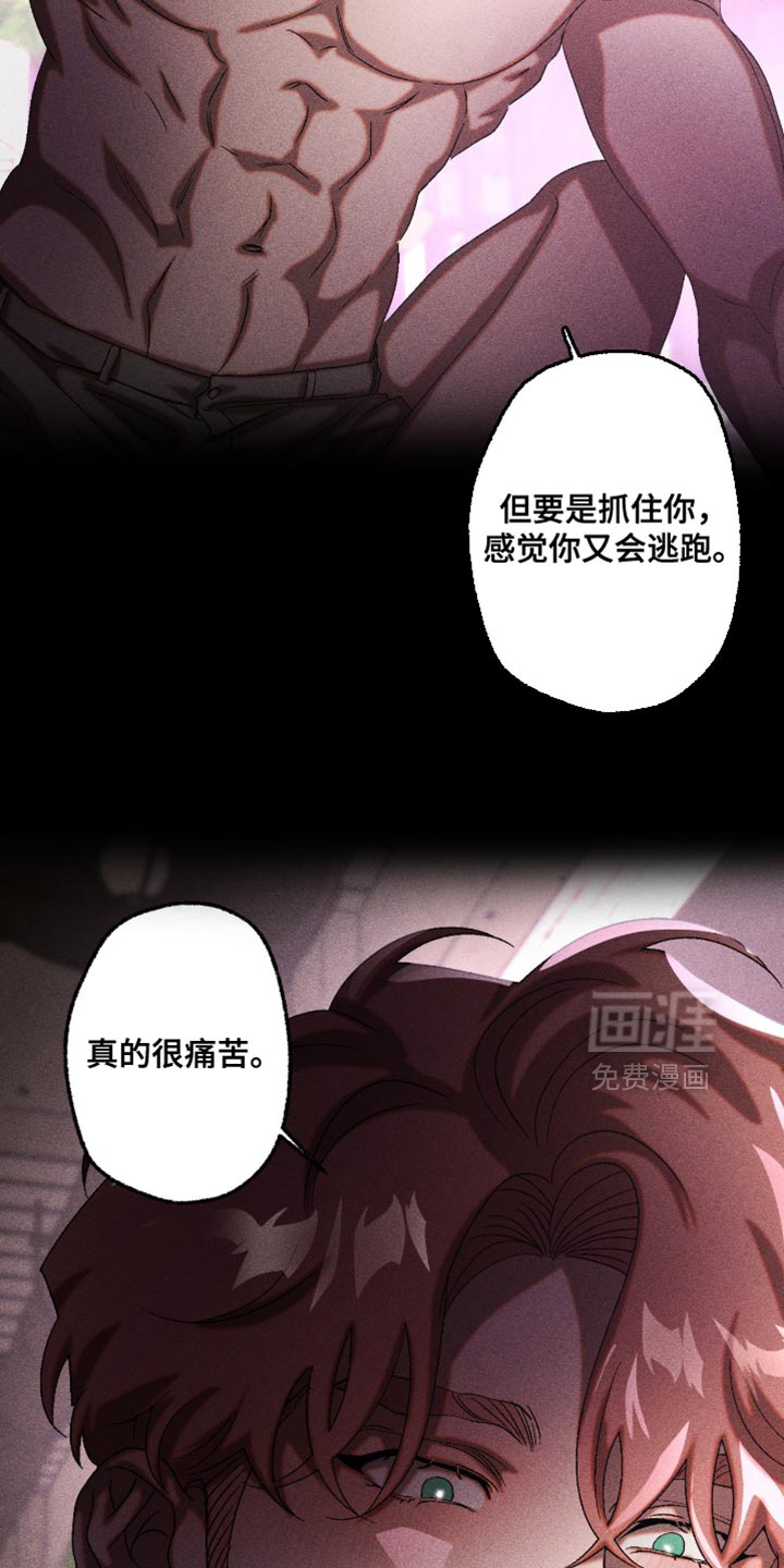 第117话11