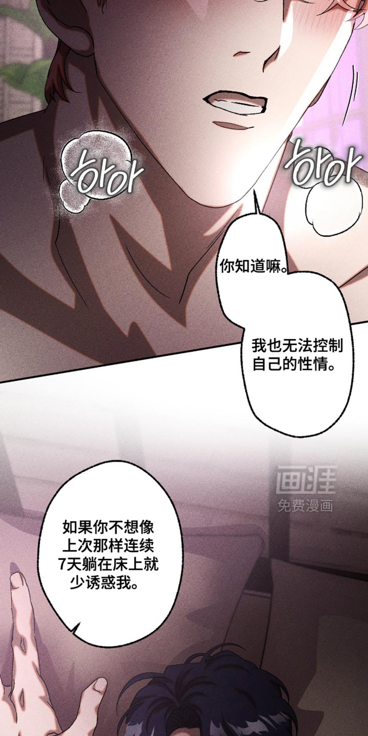 第117话12