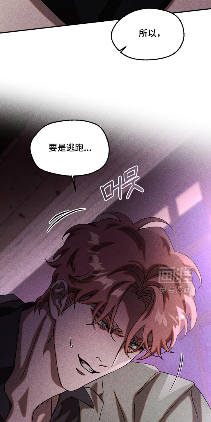 第116话14
