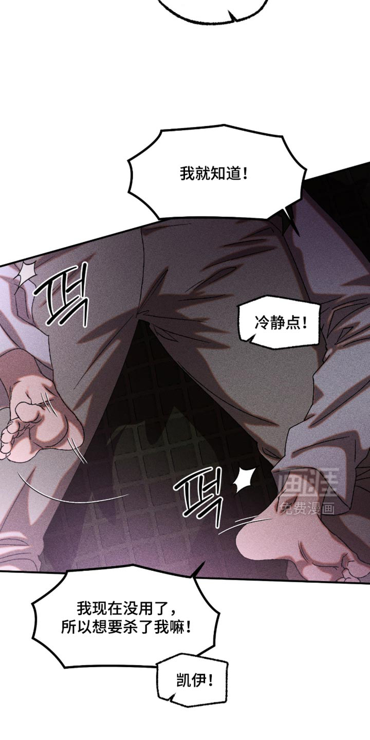 第115话13