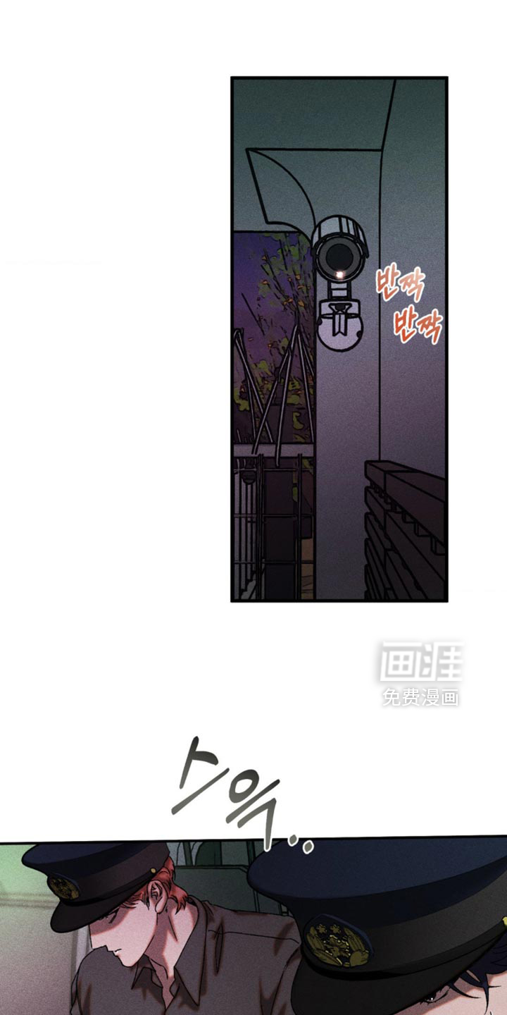 第100话0