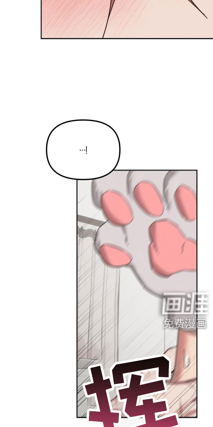 第27话4