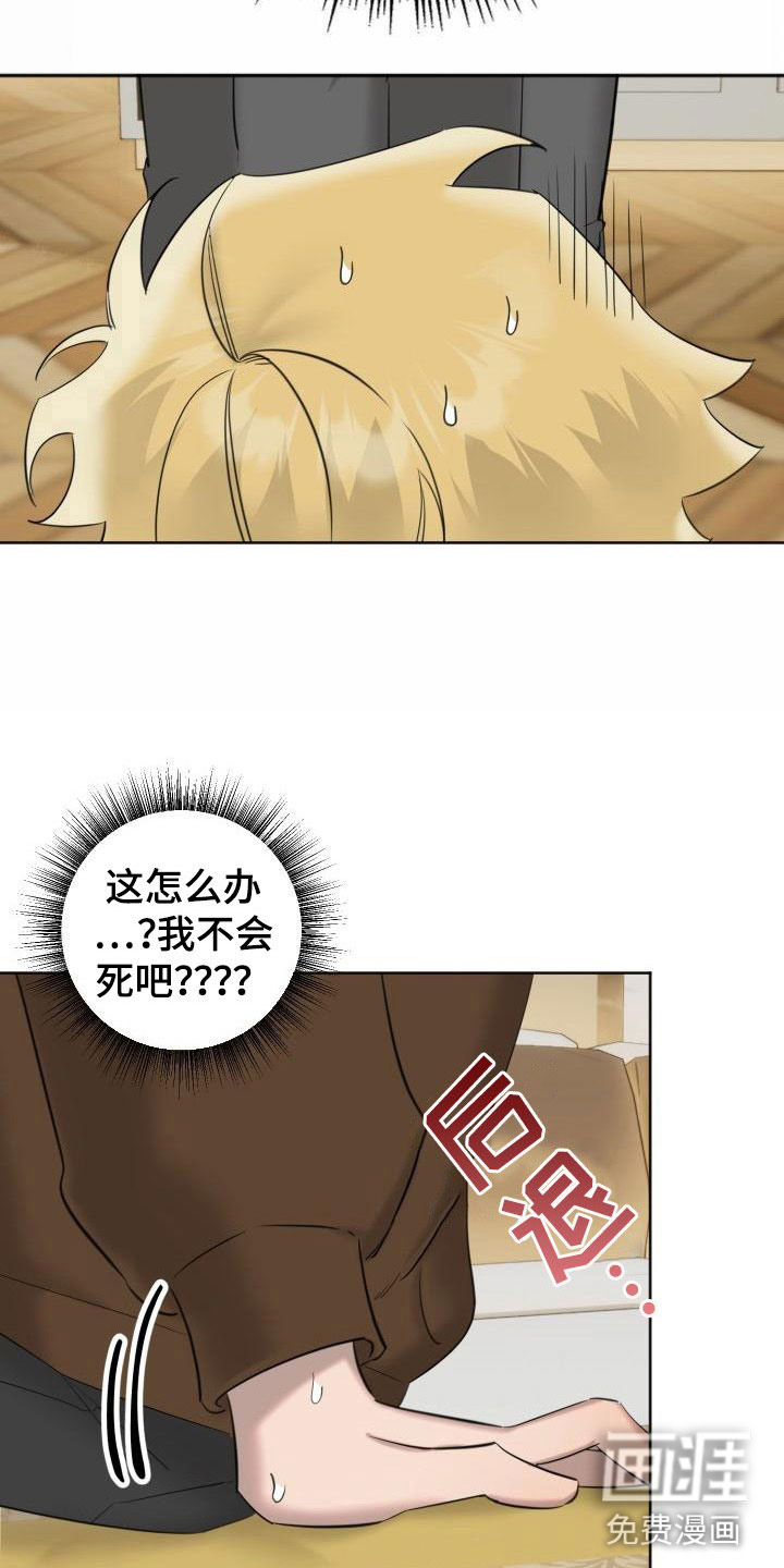 第5话9