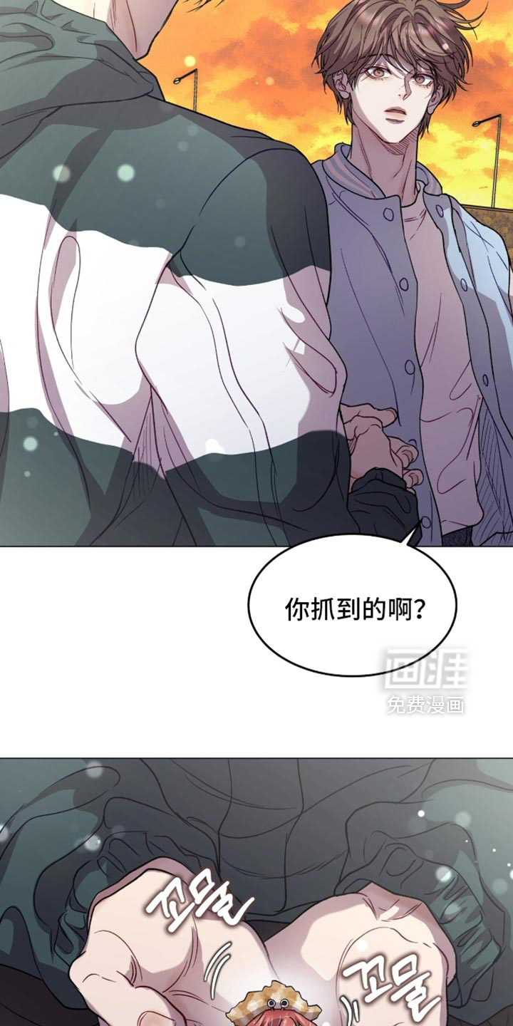 第169话5