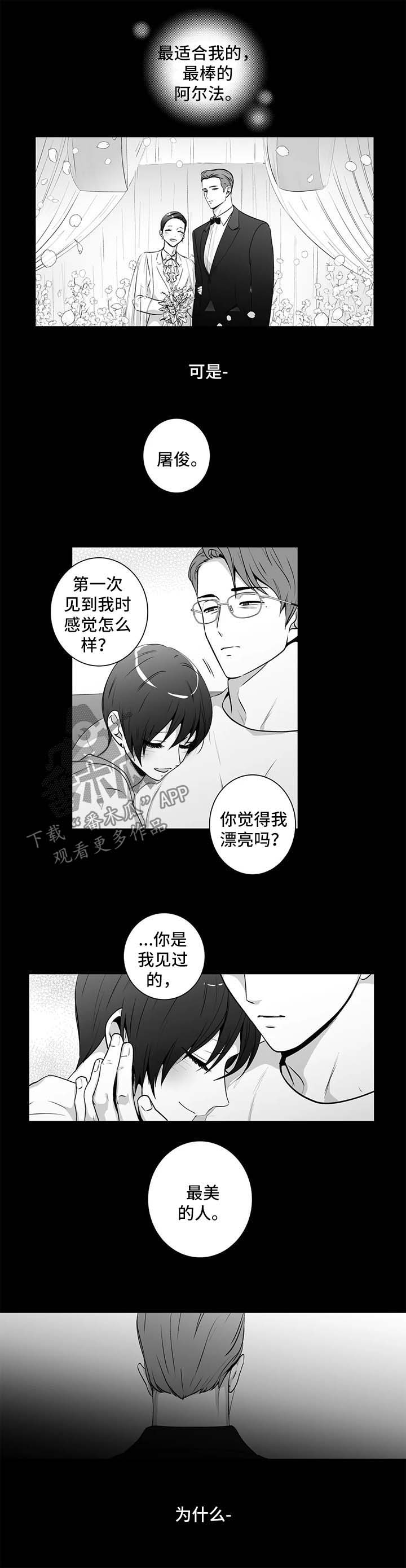 第140话2