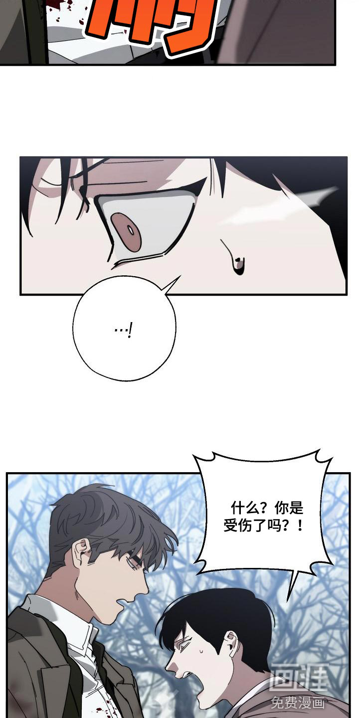 第172话12