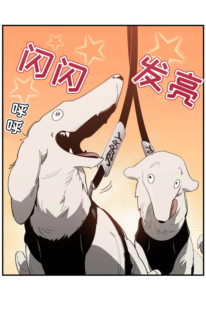 第152话15