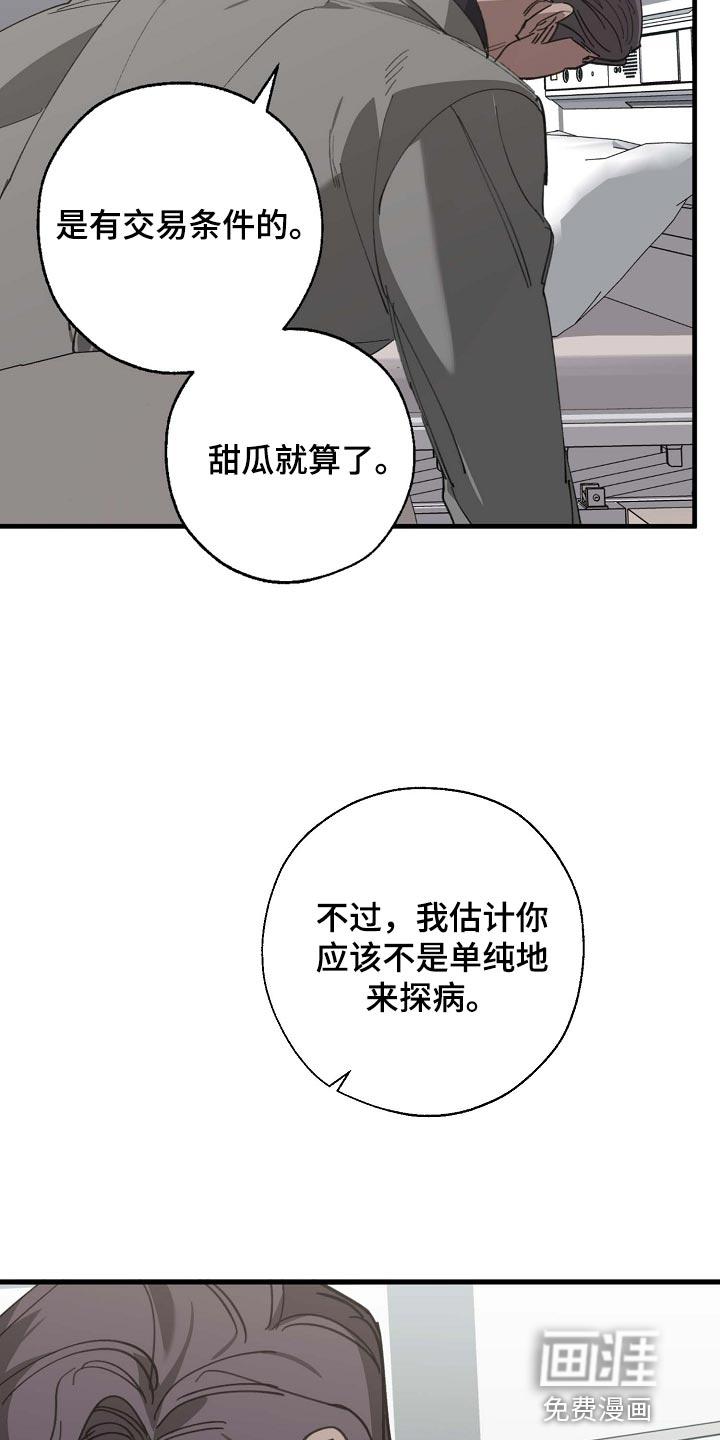 第147话11