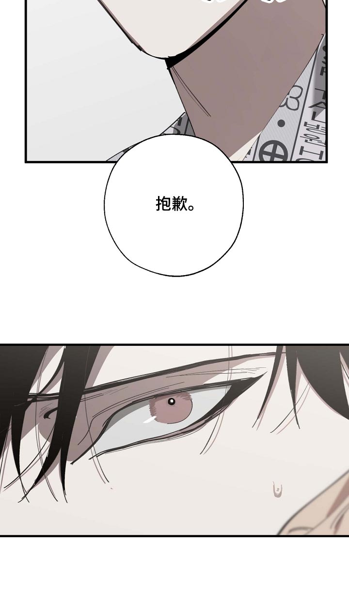 第146话14