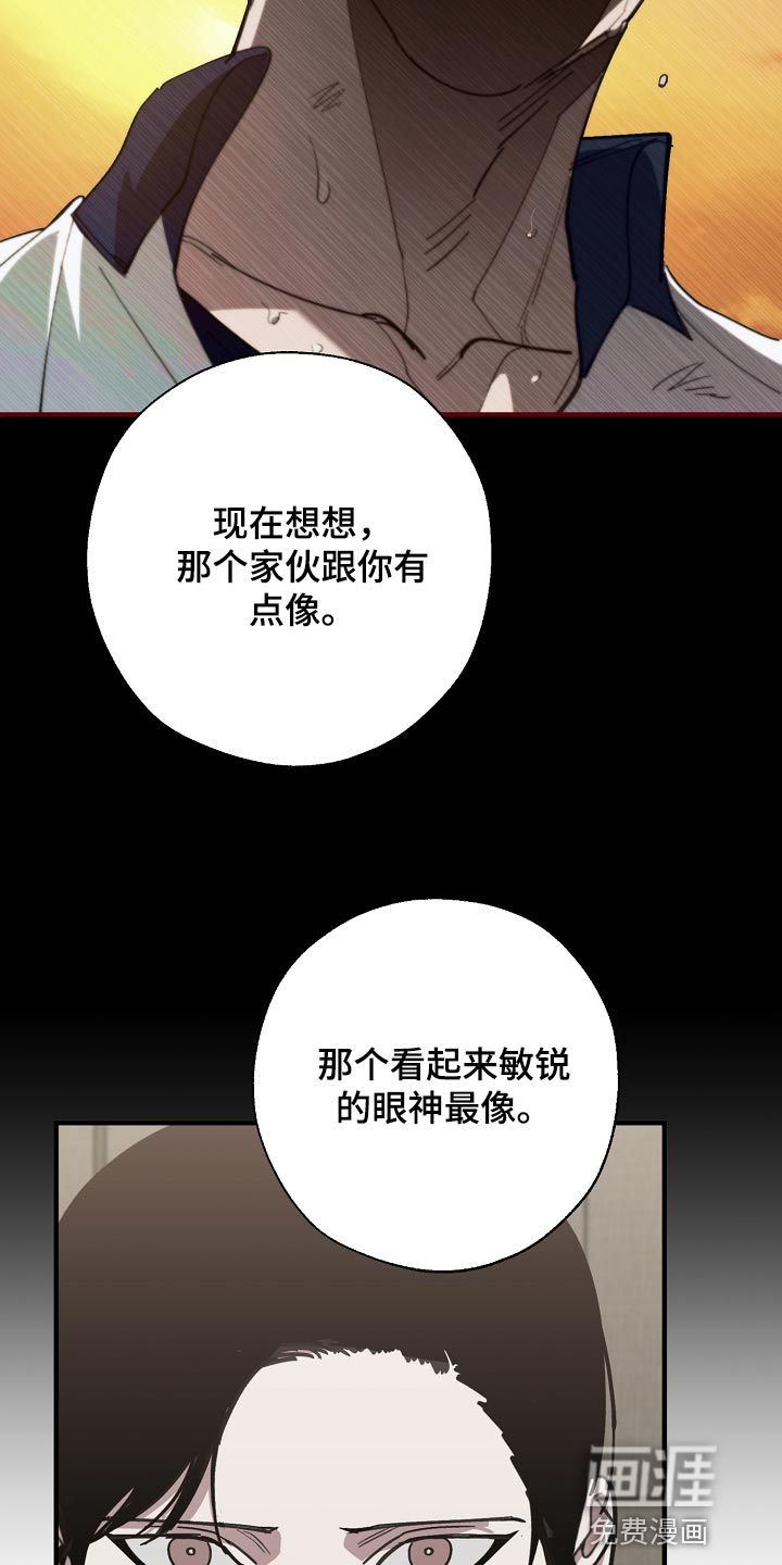 第138话11