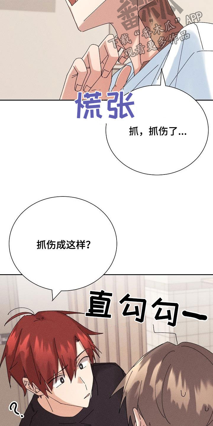 第19话17