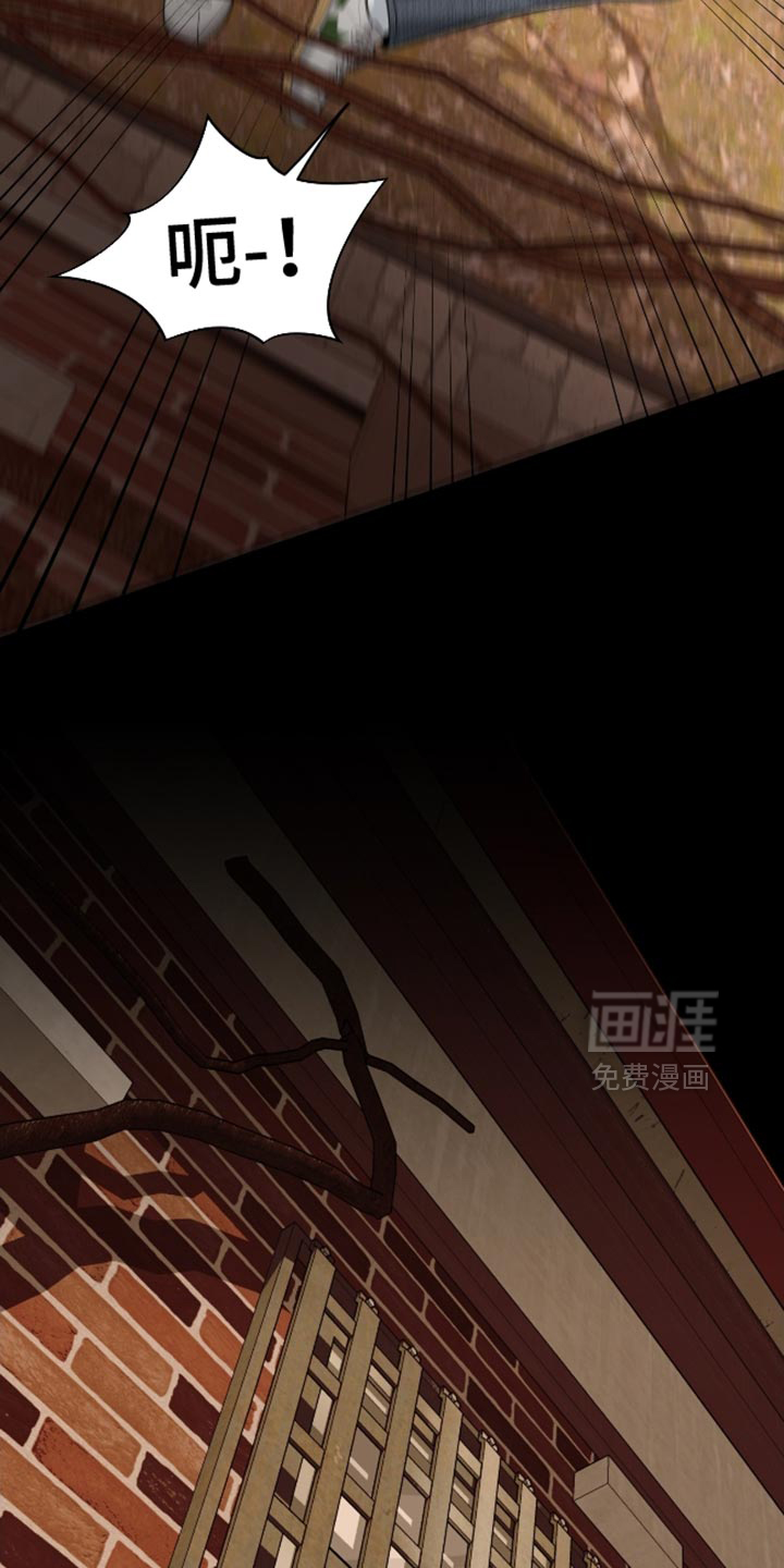 第100话5